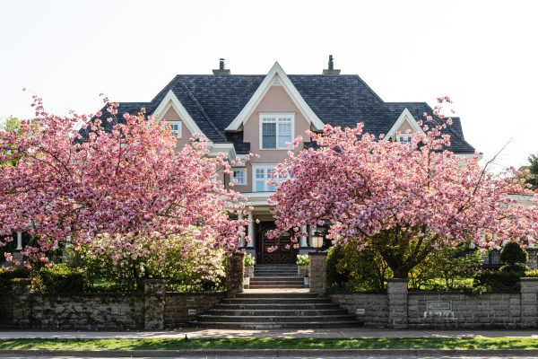 House with flowers Tristan